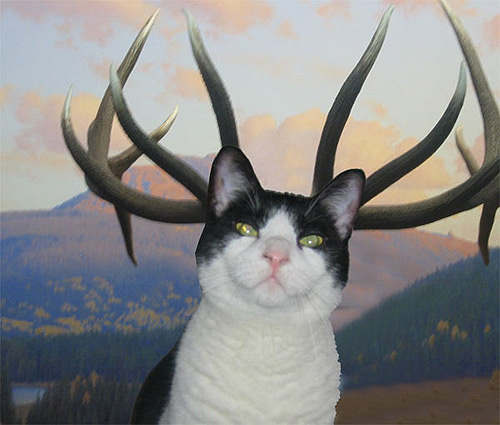 CHUPACABRA.jpg