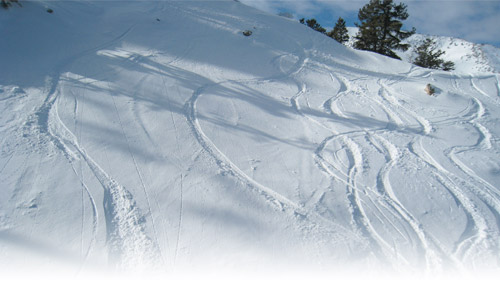 Powder_Mountain_tracks.jpg