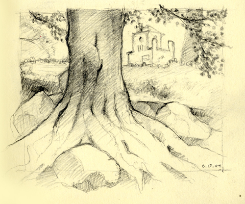 kon_prspct_tree.jpg
