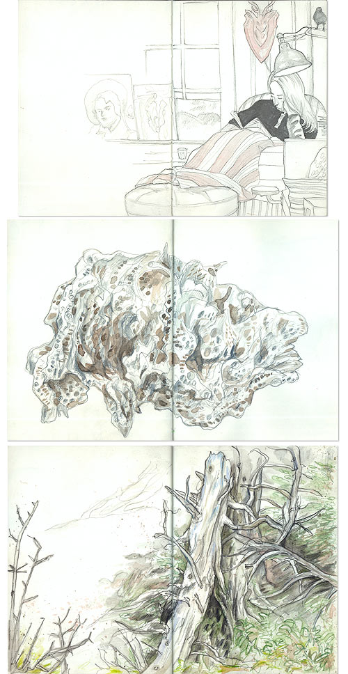 maine06-sketches.jpg